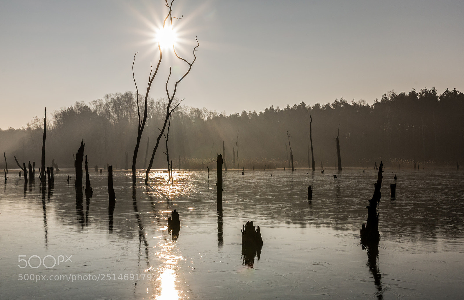 Nikon D7100 sample photo. Morning pond photography