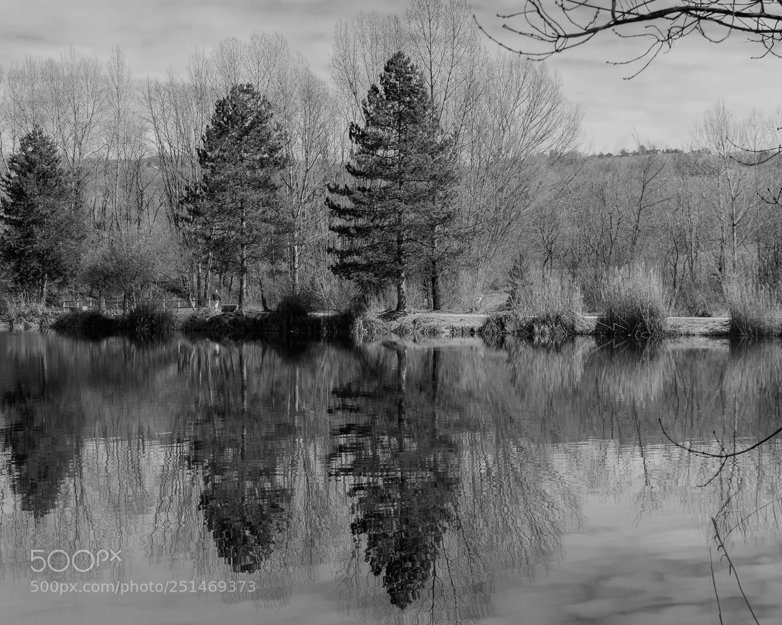 Nikon D7200 sample photo. Reflexion in lake photography