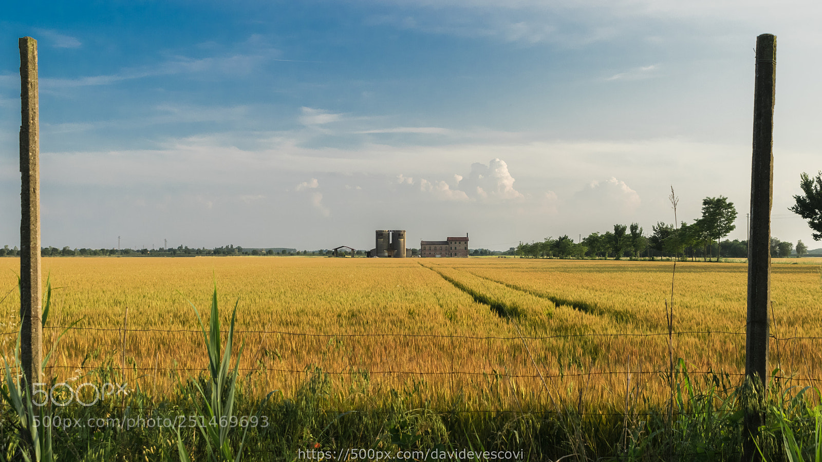 Nikon D5300 sample photo. Venetian countryside photography