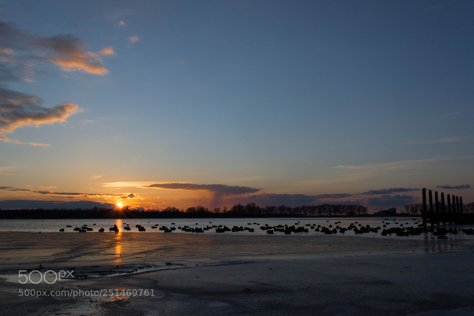 Nikon D5200 sample photo. Sunset at veluwemeer with photography