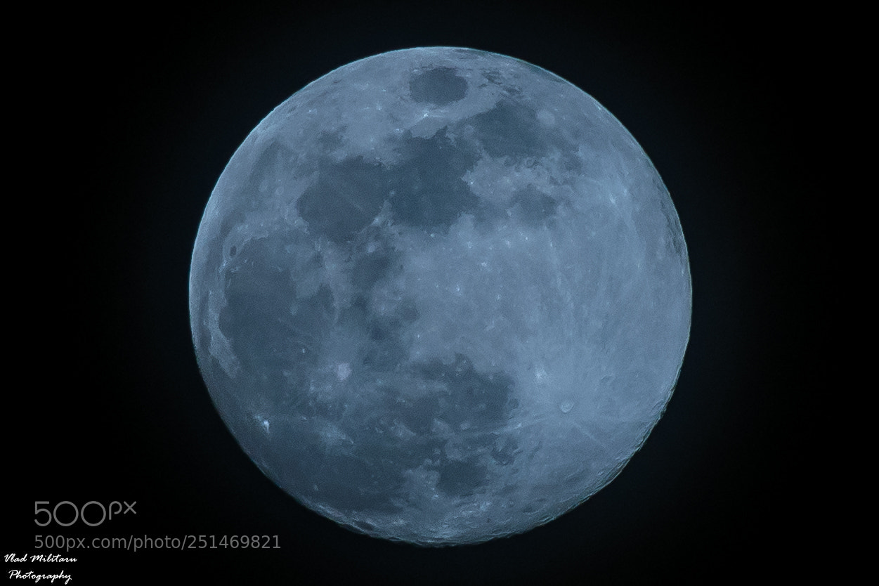 Nikon D5300 sample photo. Moon on this night. photography