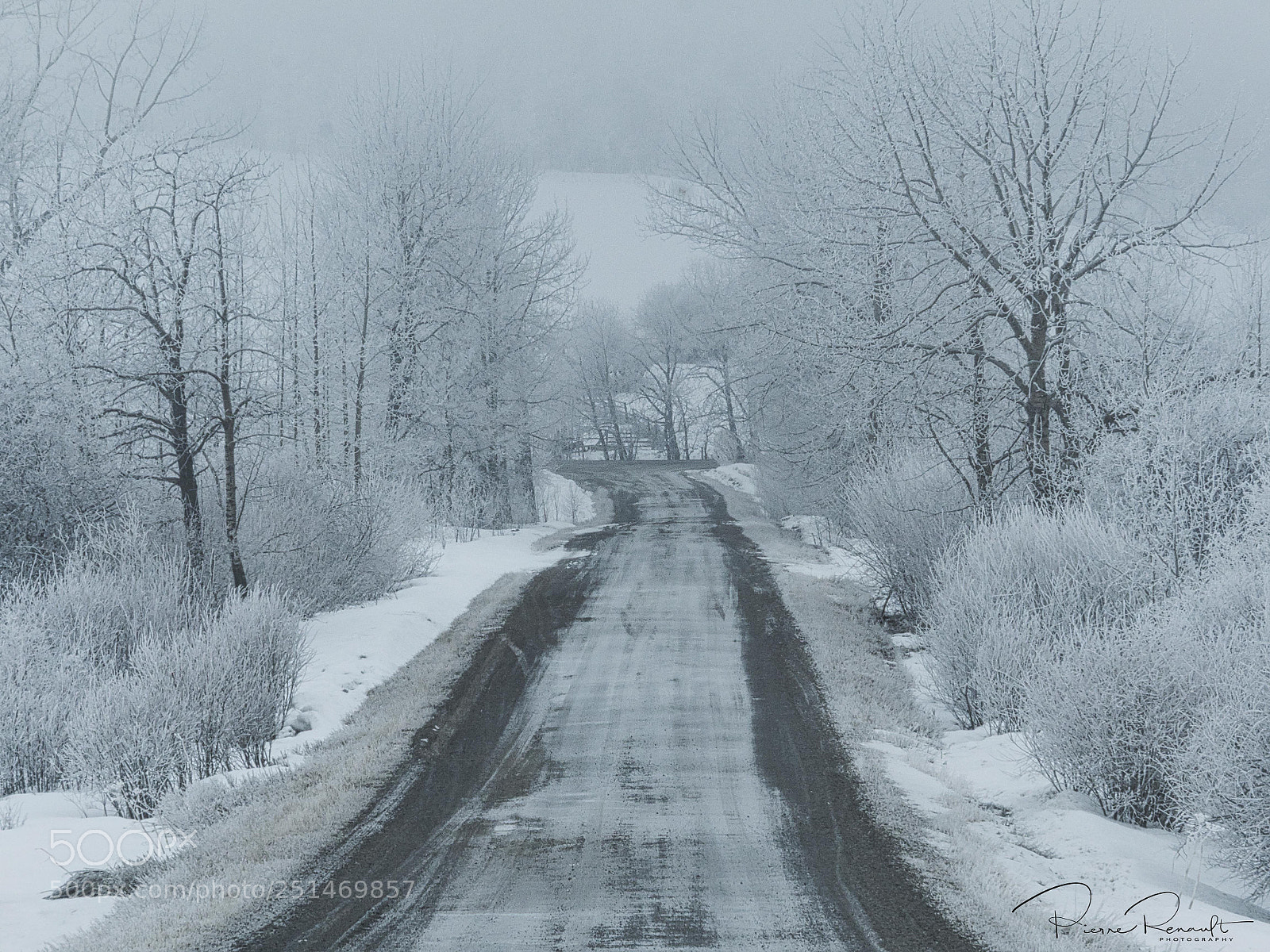 Panasonic Lumix DMC-GH4 sample photo. Winter fog country road photography