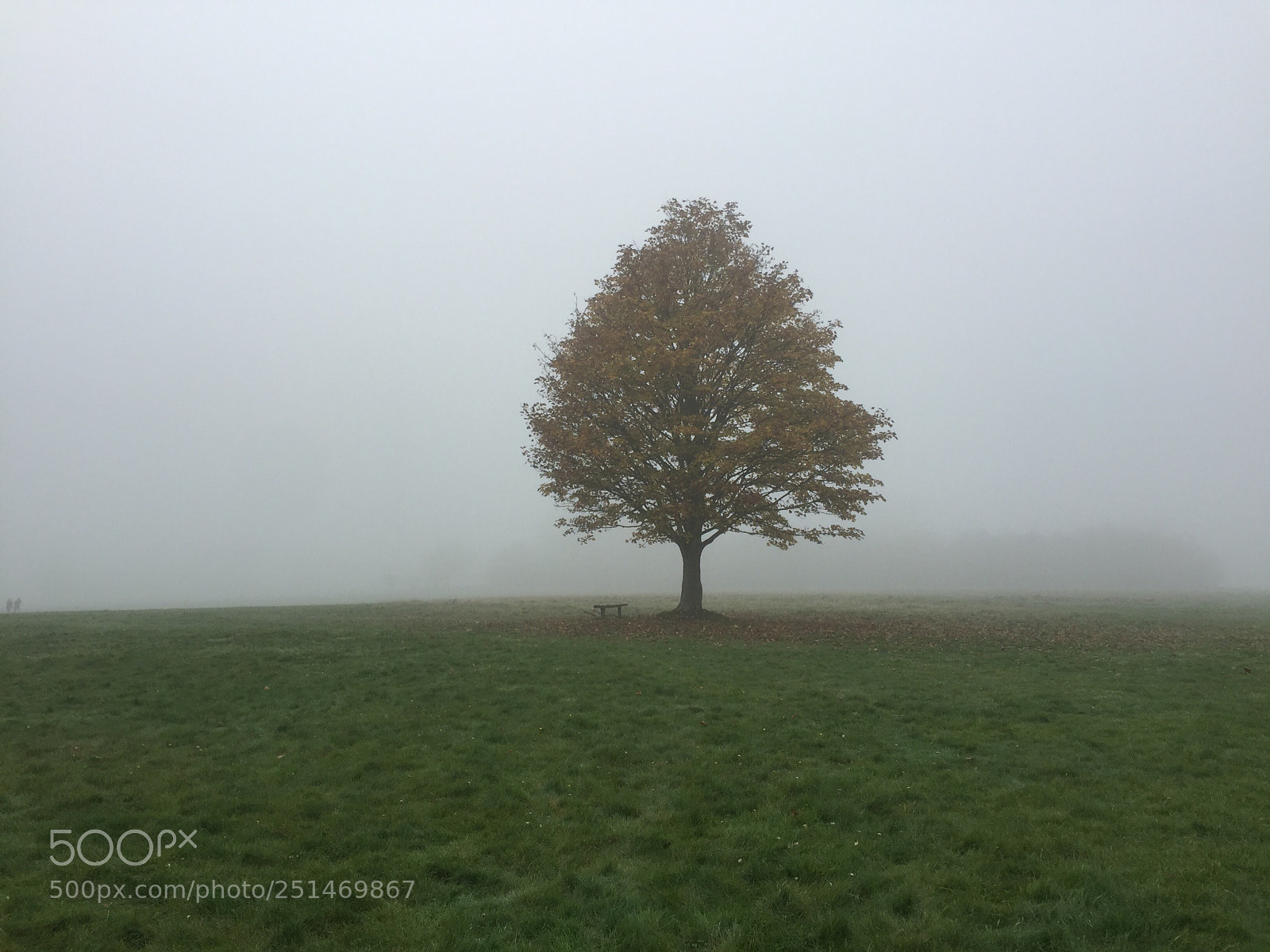 Apple iPhone 6 sample photo. Fog photography
