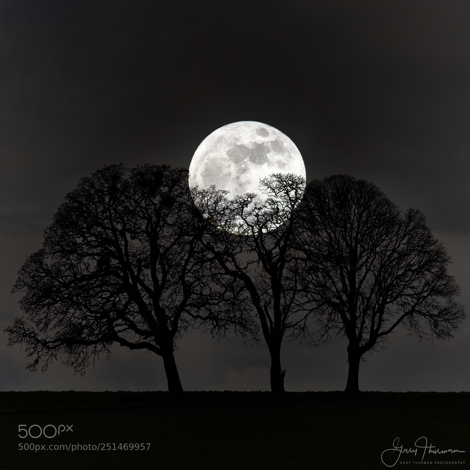 Canon EOS 7D Mark II sample photo. Catching the moon photography