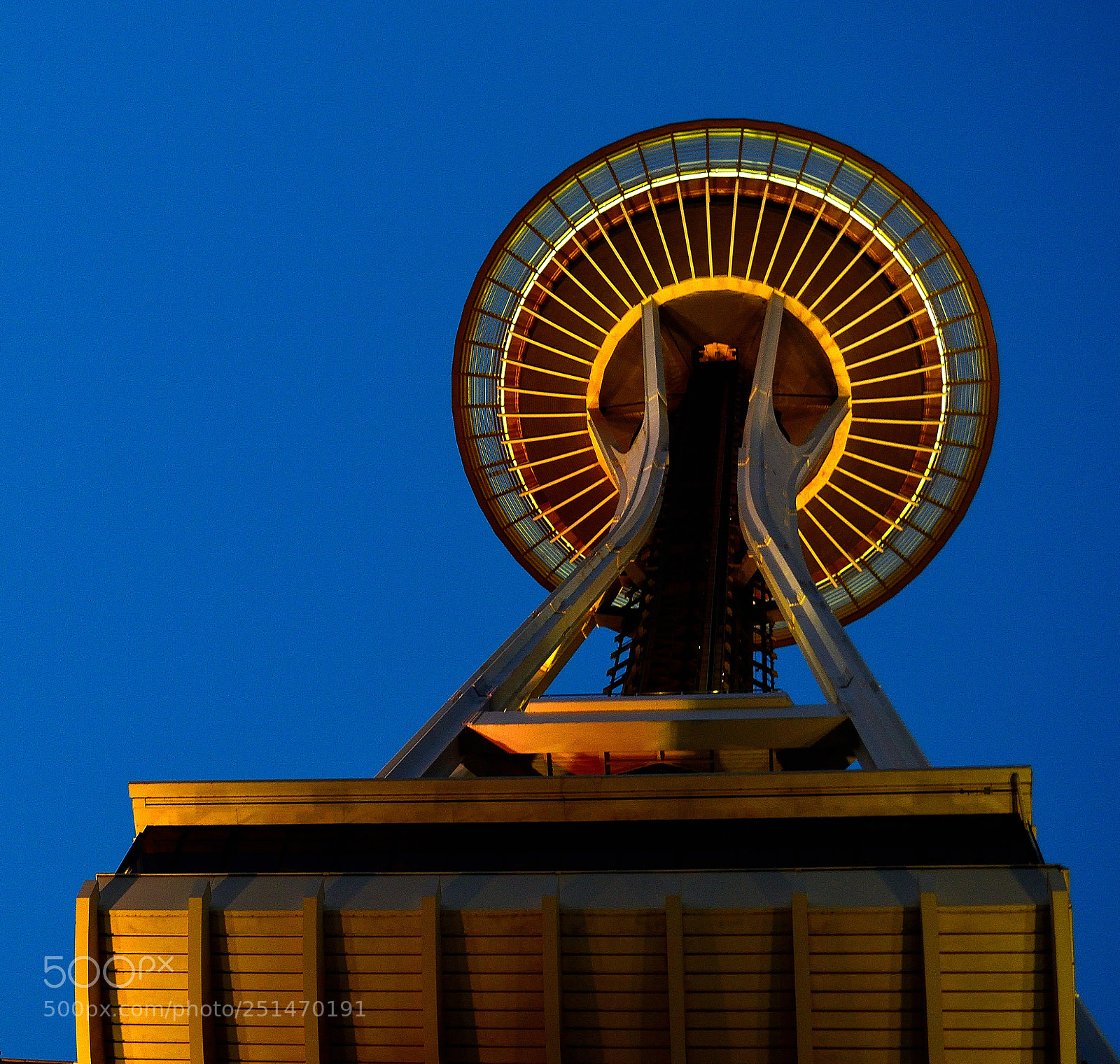 Nikon D5300 sample photo. Dsc photography