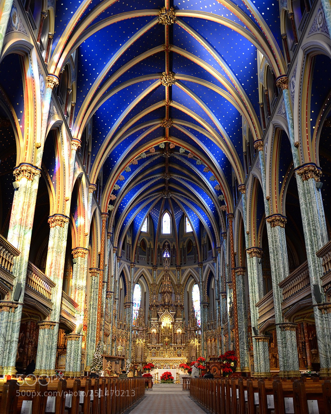 Nikon D7000 sample photo. Notre dame cathedral . ottawa ?? photography