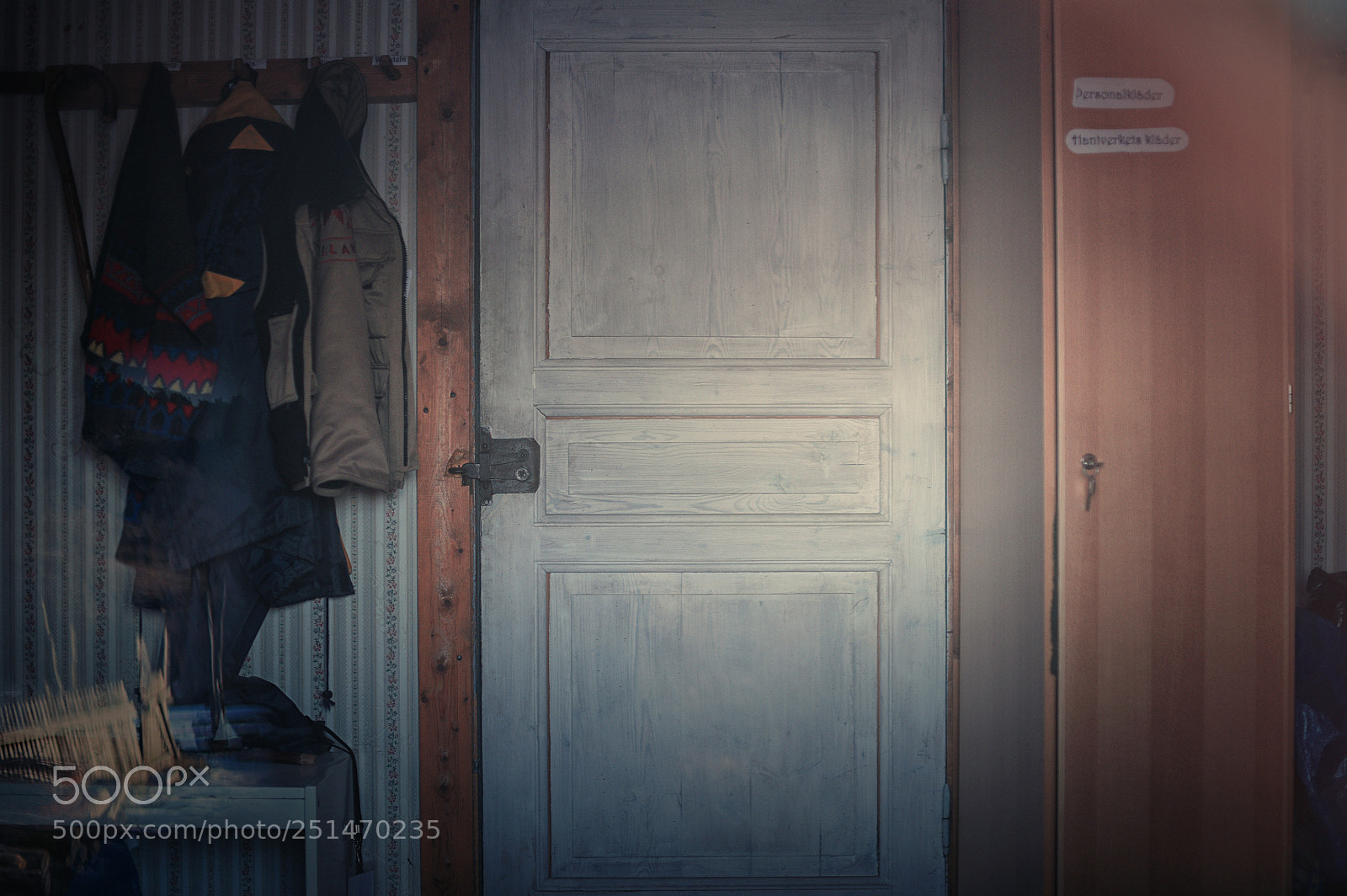 Nikon D810 sample photo. Looking into... photography