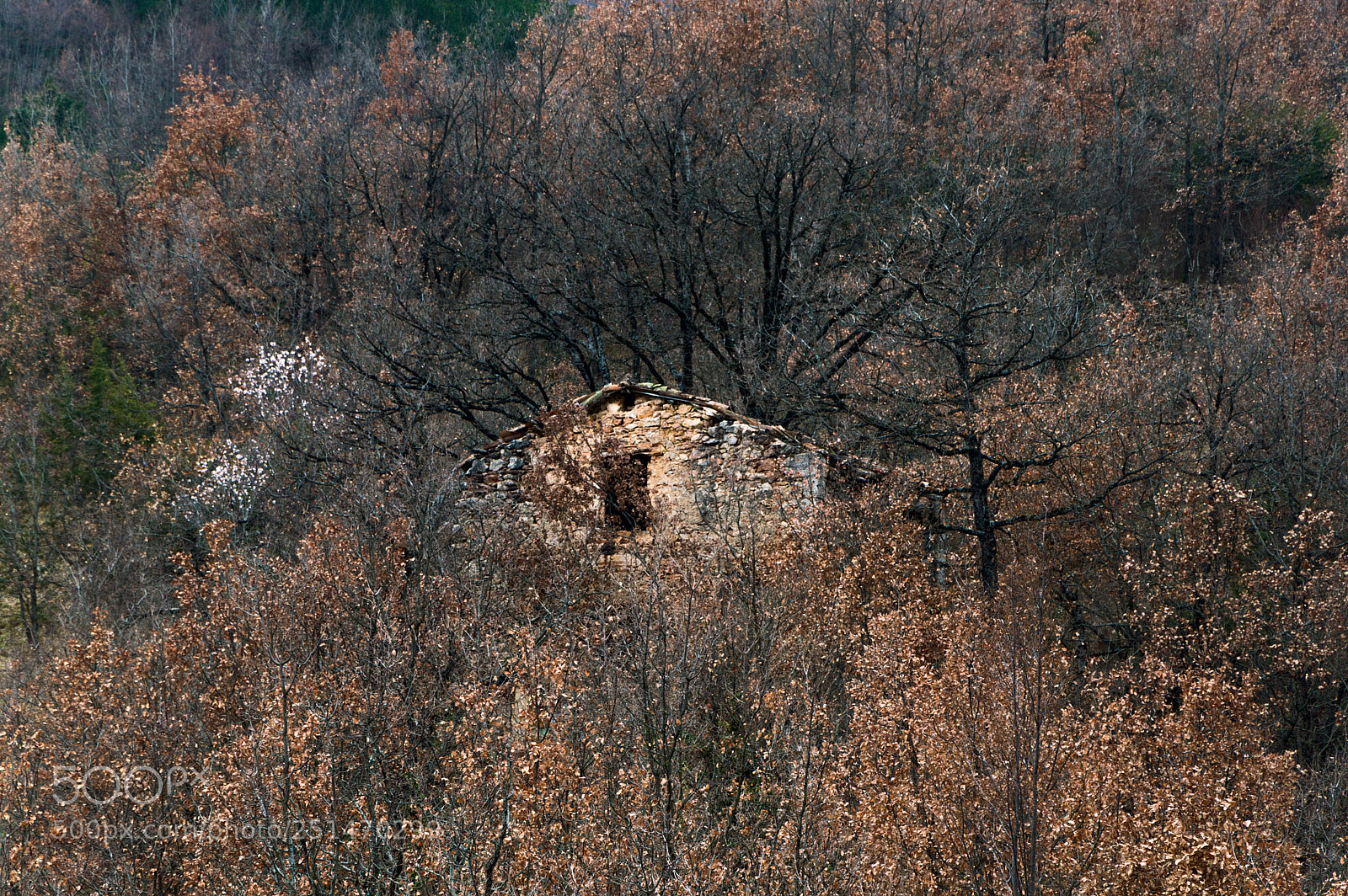 Nikon D3200 sample photo. Casa.jpg photography
