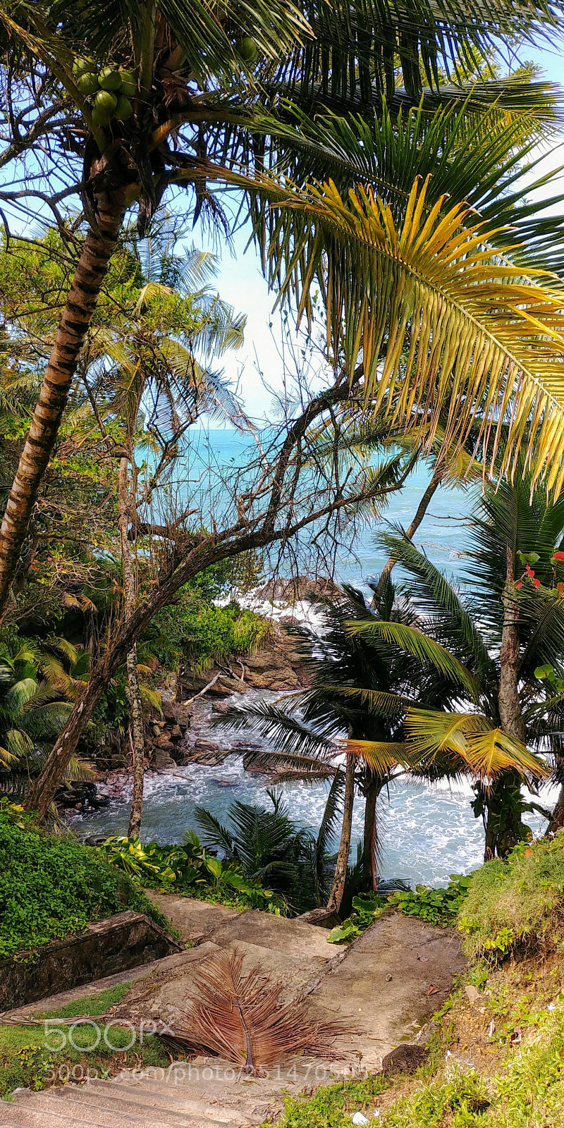 LG G6 sample photo. Gordon bay photography