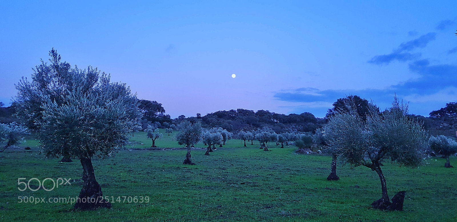 Samsung Galaxy S8 sample photo. La noche, la luna photography