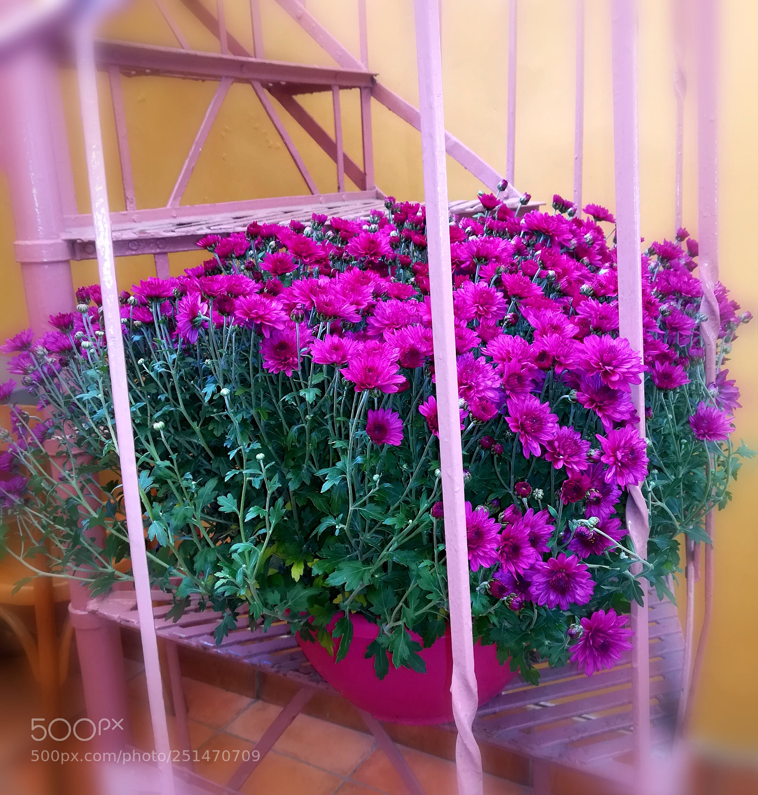 HUAWEI P10 lite sample photo. Colorful life photography