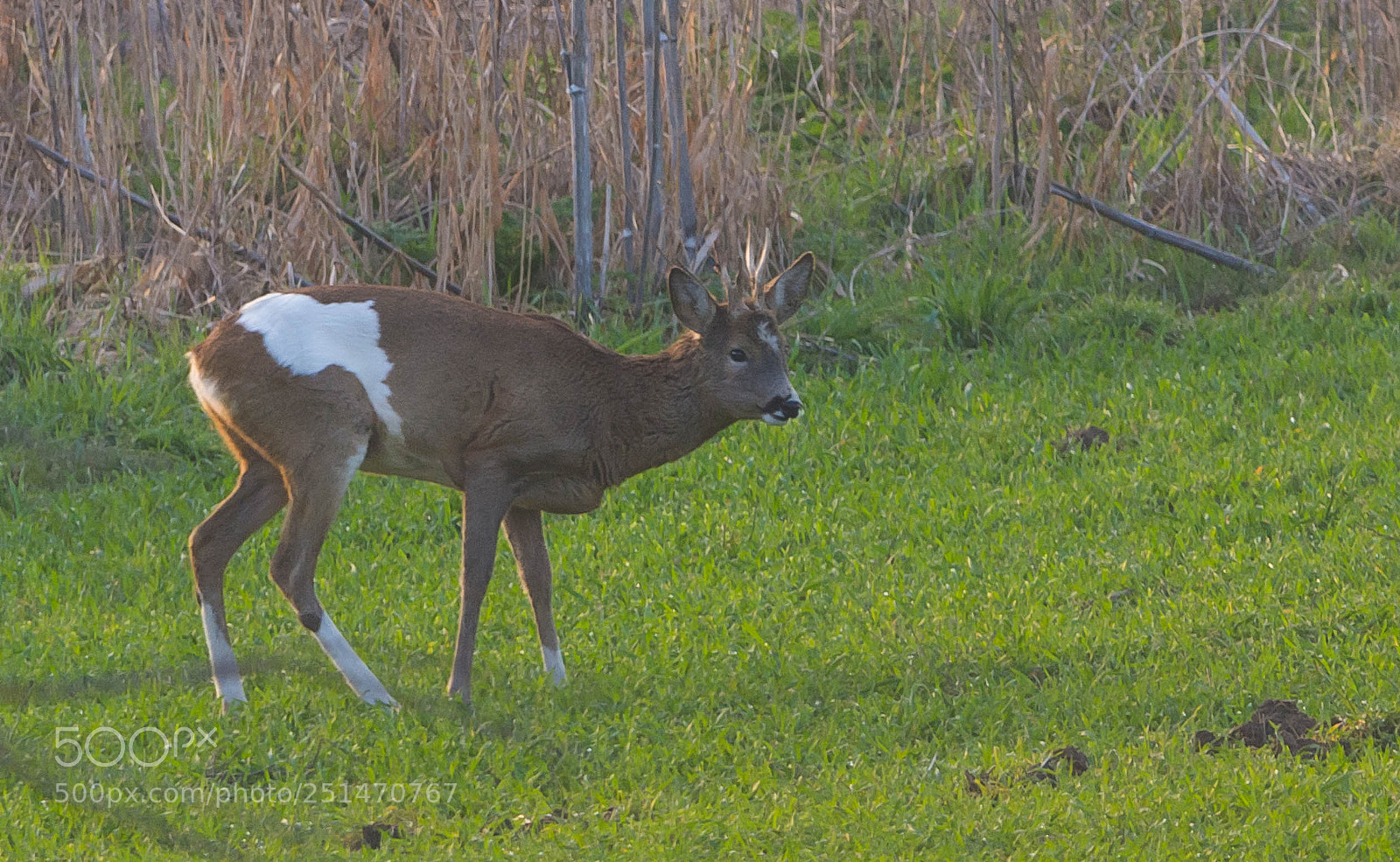 Nikon D7100 sample photo. :) photography