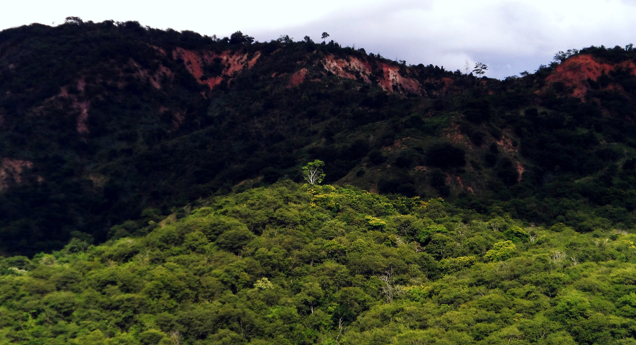 Samsung WB150 / WB150F / WB152 / WB152F / WB151 / WB151F / WB140 sample photo. Aquela que se destaca photography