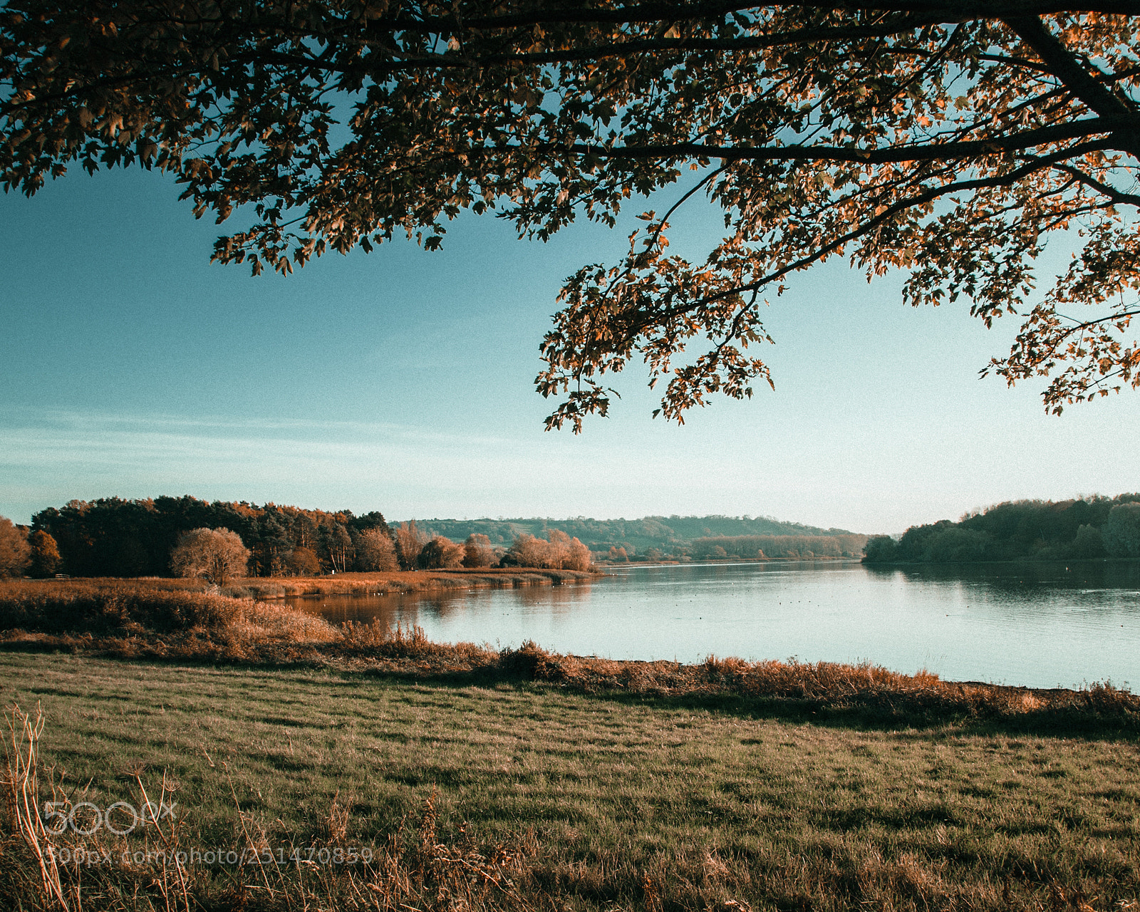 Canon EOS-1D Mark III sample photo. 15-2112.jpg-chew lake photography