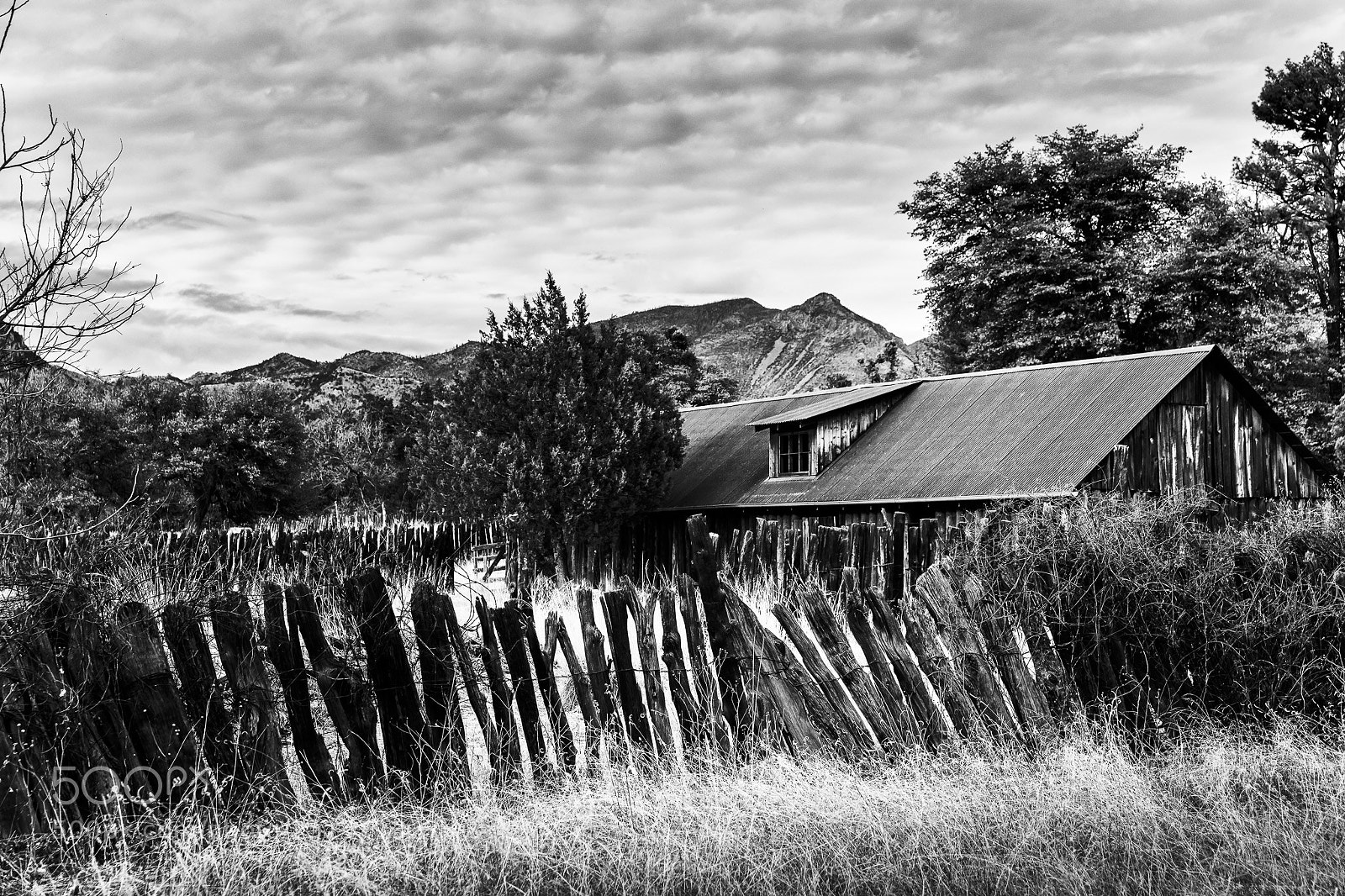 Canon EOS 5D Mark IV sample photo. Old camp rucker ranch photography