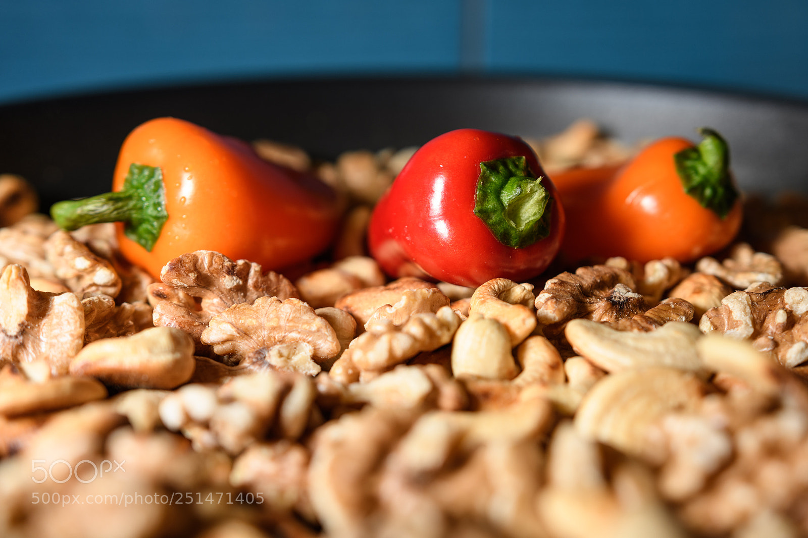 Nikon D500 sample photo. Pepers photography