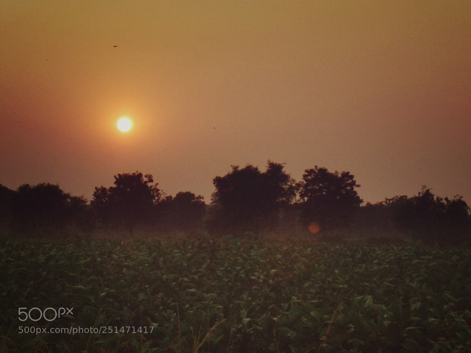Xiaomi Redmi 4 Pro sample photo. Untitled photography