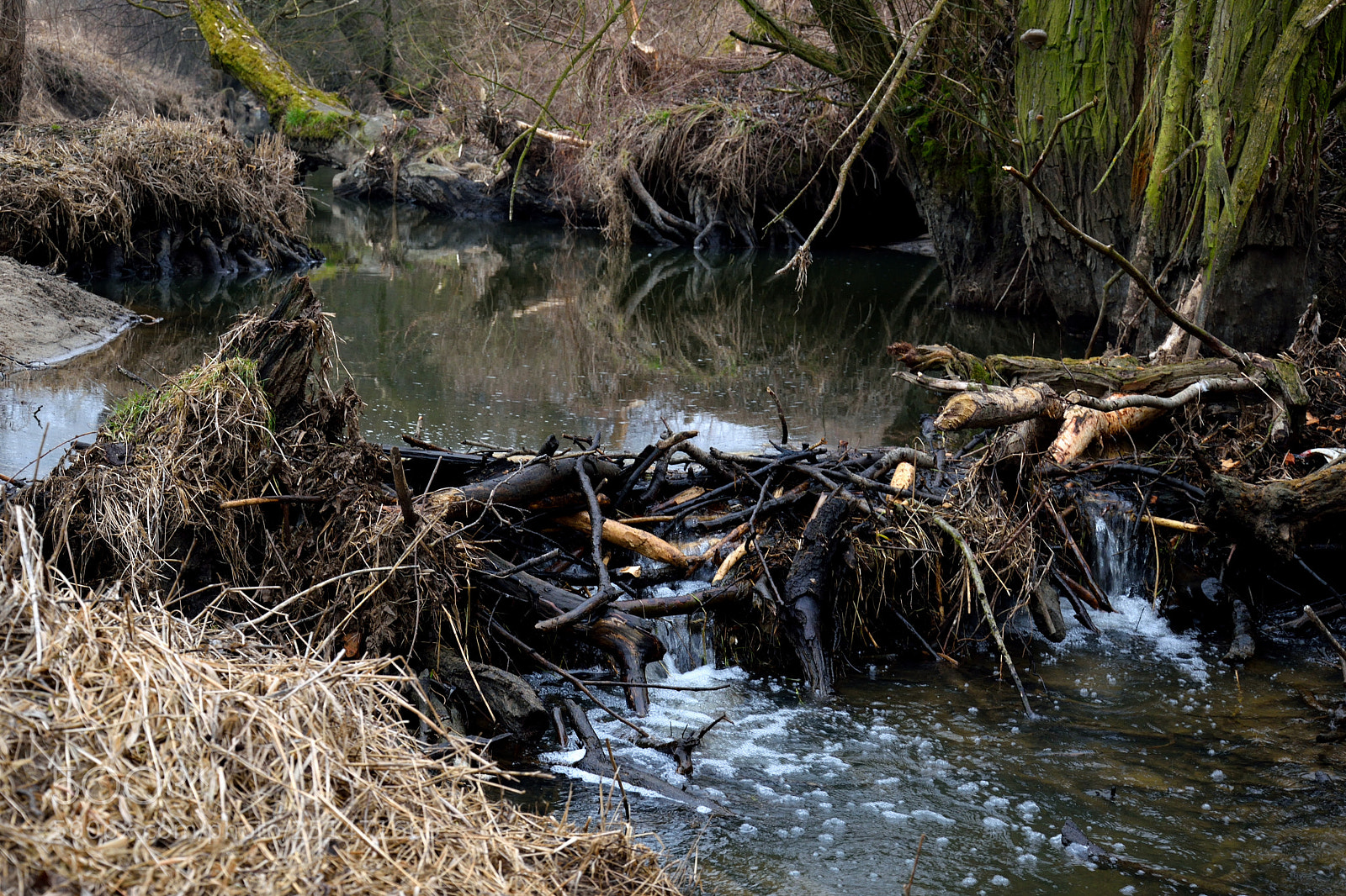 Nikon D3300 sample photo. Running water photography