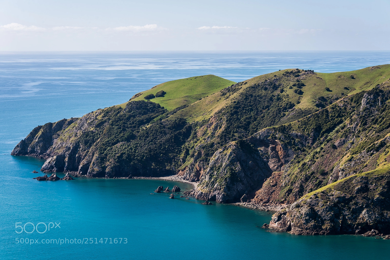Nikon D4 sample photo. New zealand : cable bay photography