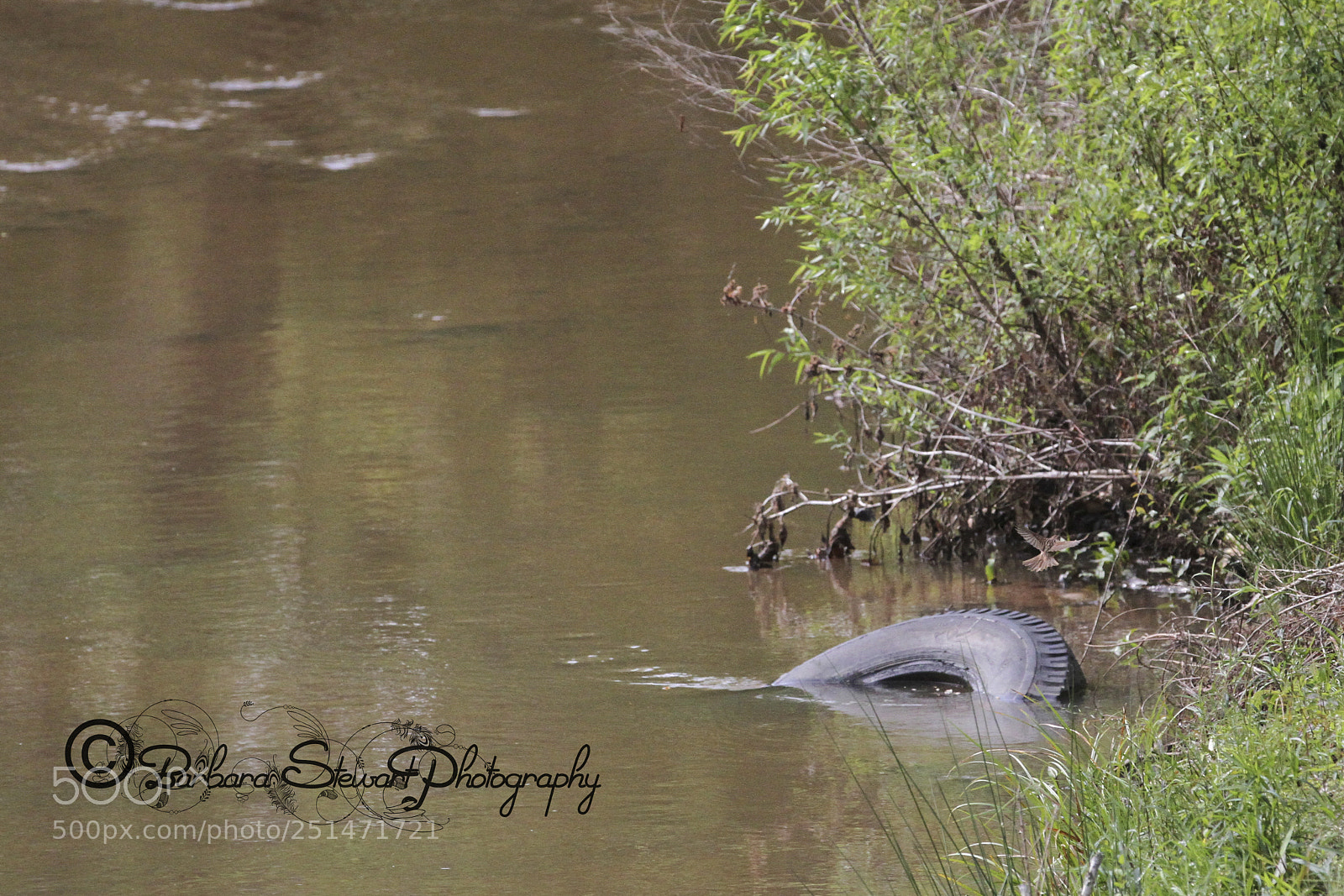Canon EOS 7D sample photo. Nature in spring photography