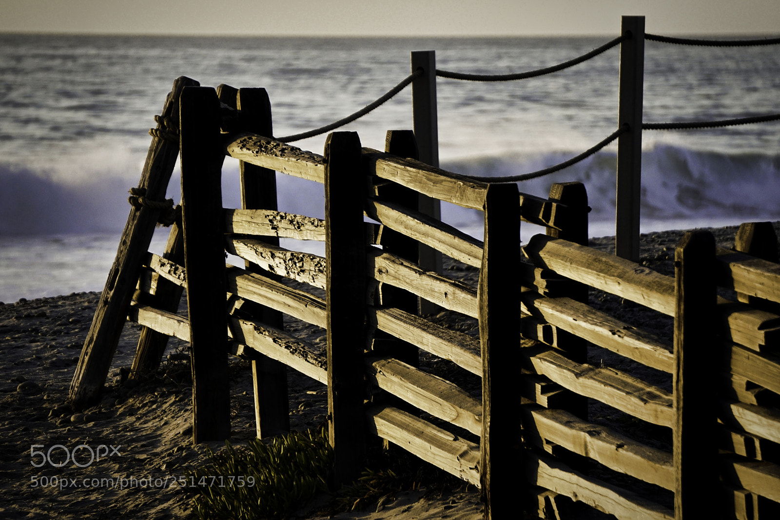 Sony a6300 sample photo. _dsc5474-01.jpg photography