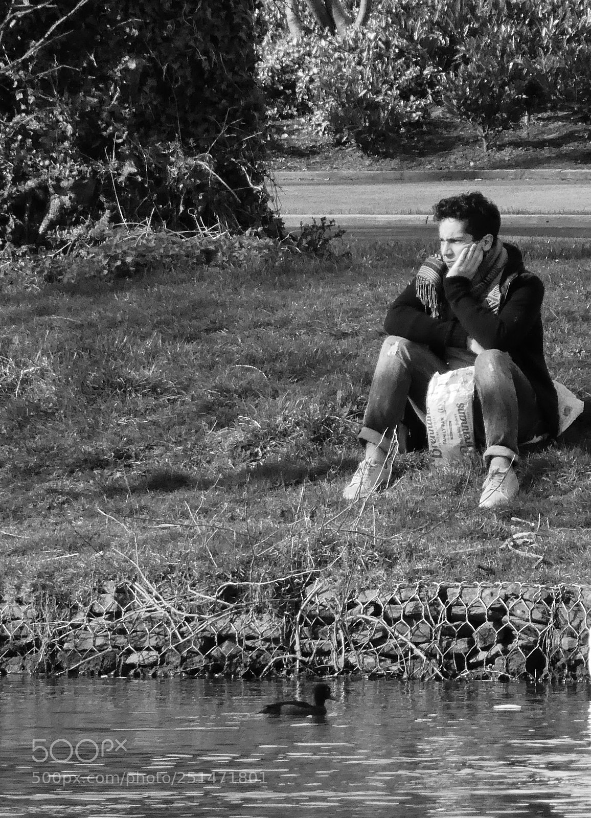 Panasonic DMC-TZ81 sample photo. Life is hard... photography