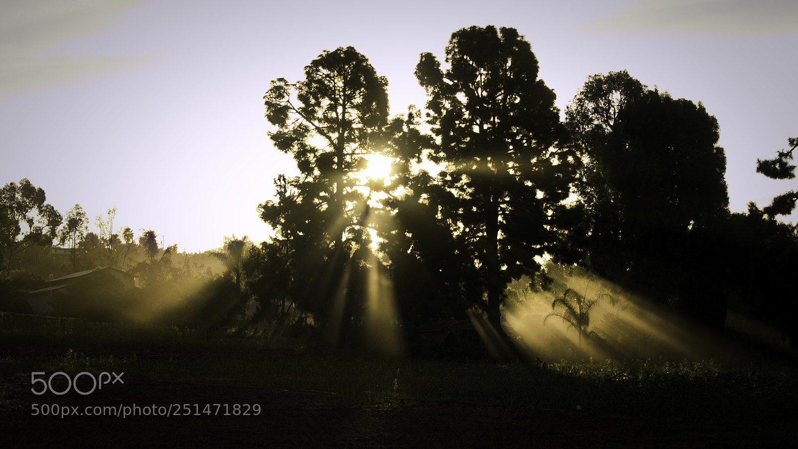 Sony a6300 sample photo. Sunlight photography