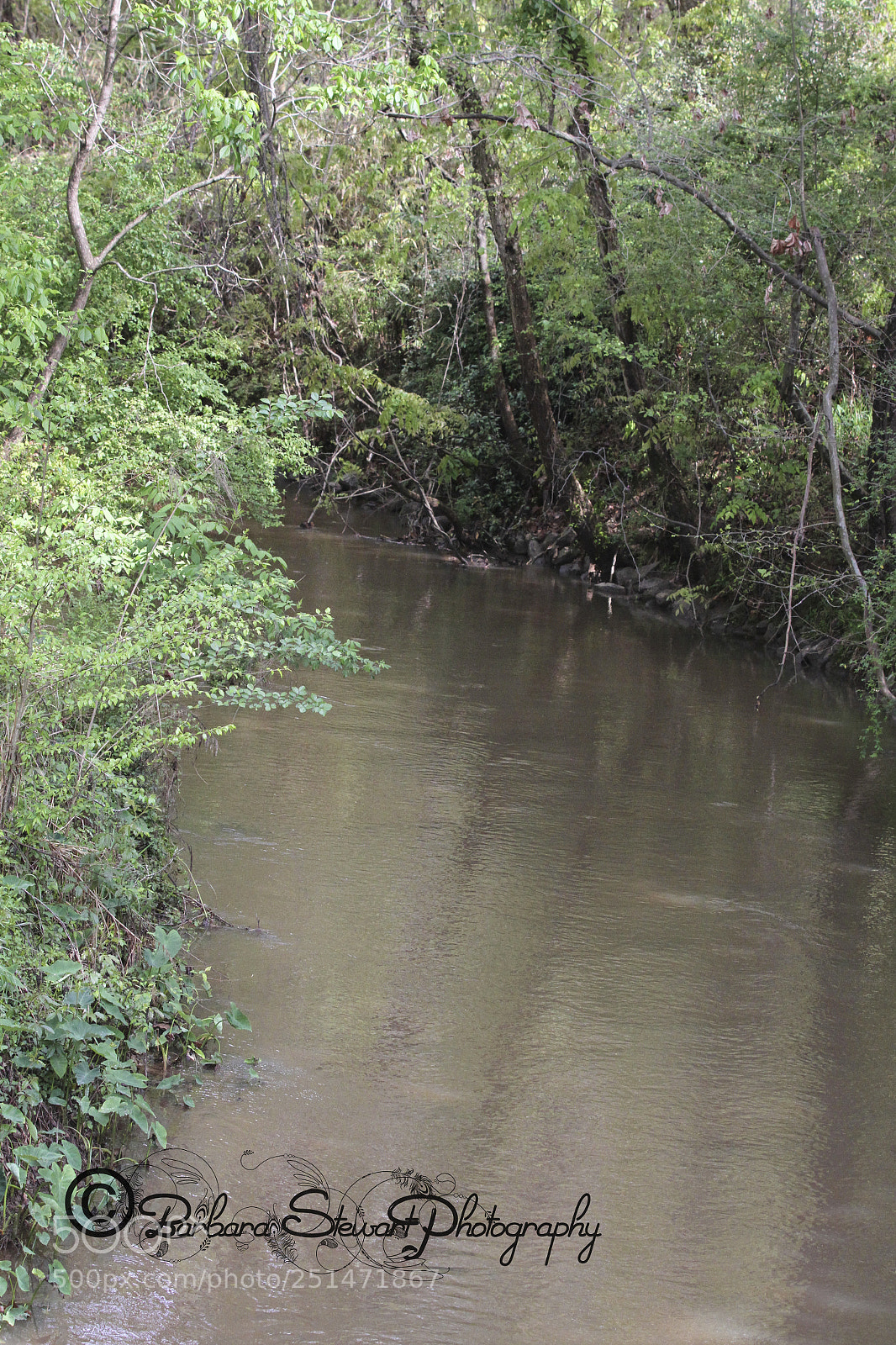 Canon EOS 7D sample photo. Nature in spring photography