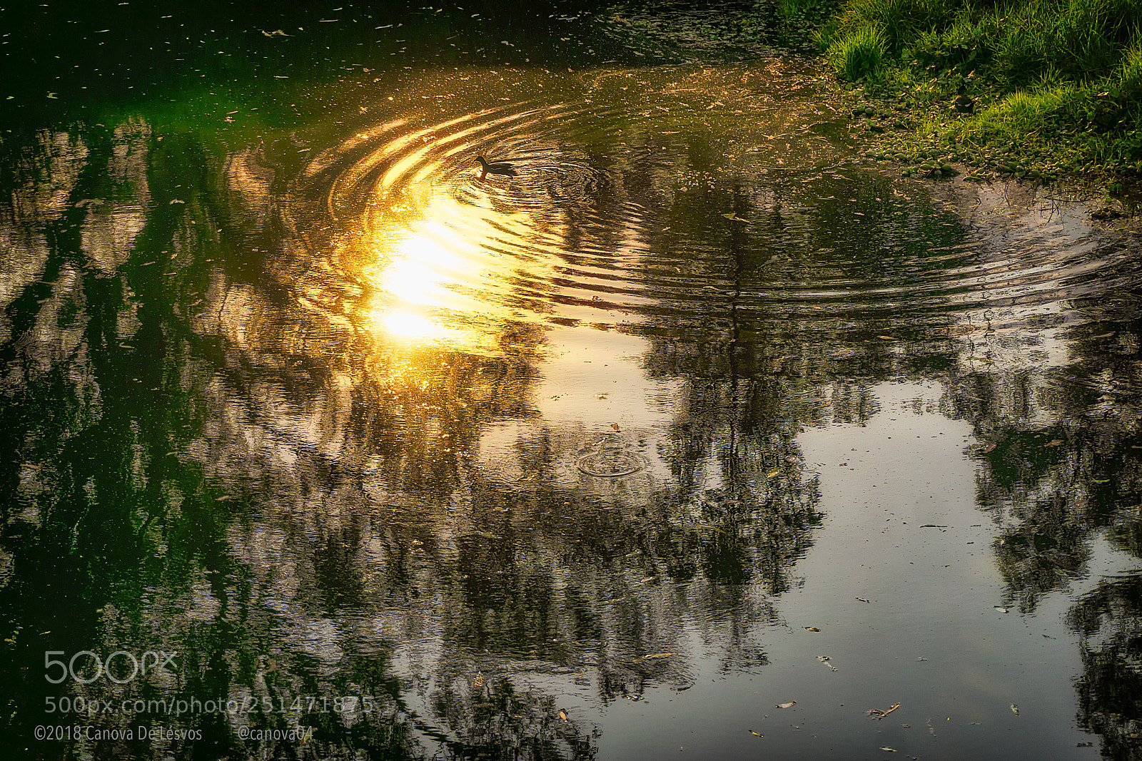 Sony a6000 sample photo. Reflection photography