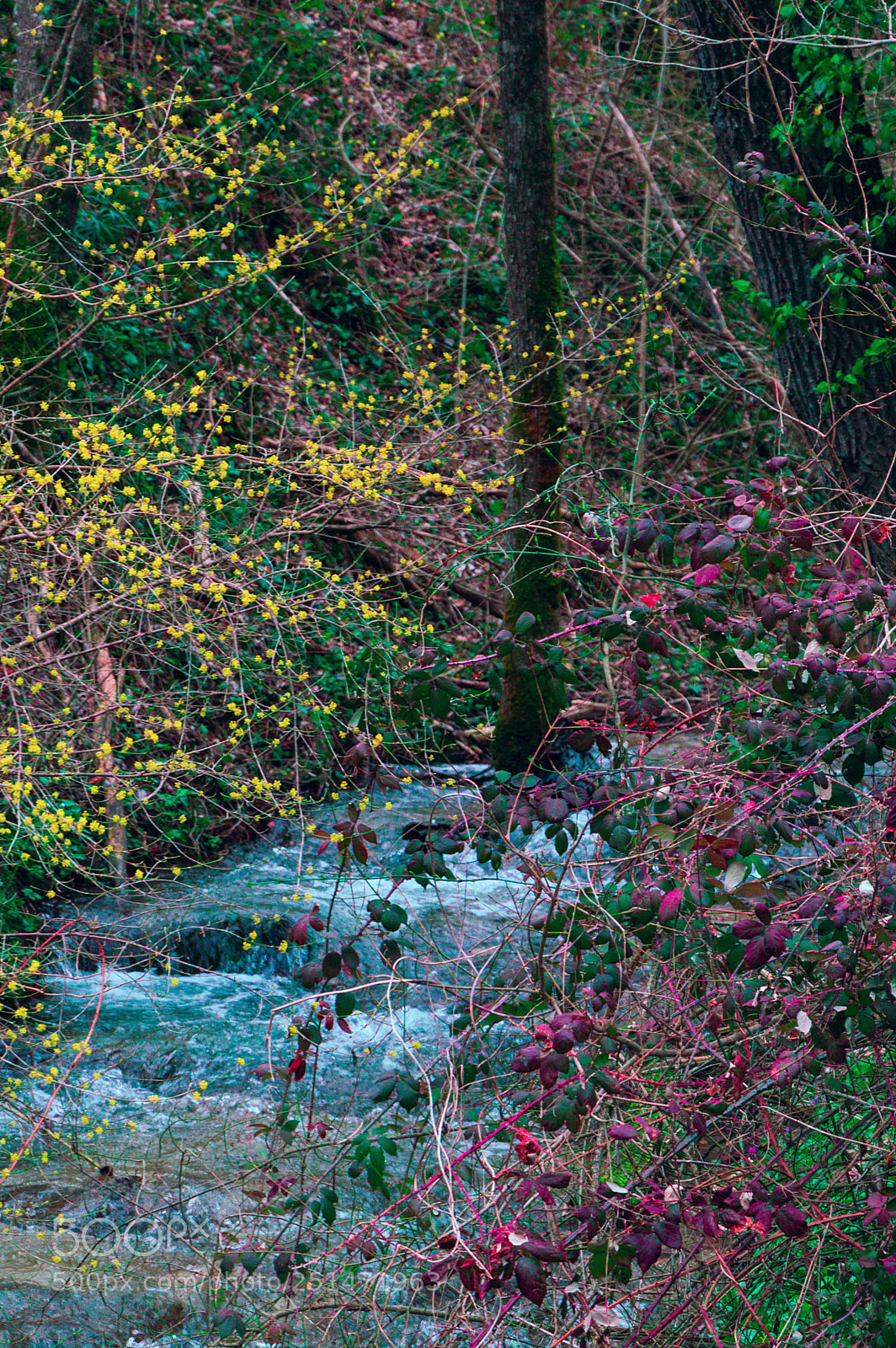 Nikon D3200 sample photo. Cascatina.jpg photography