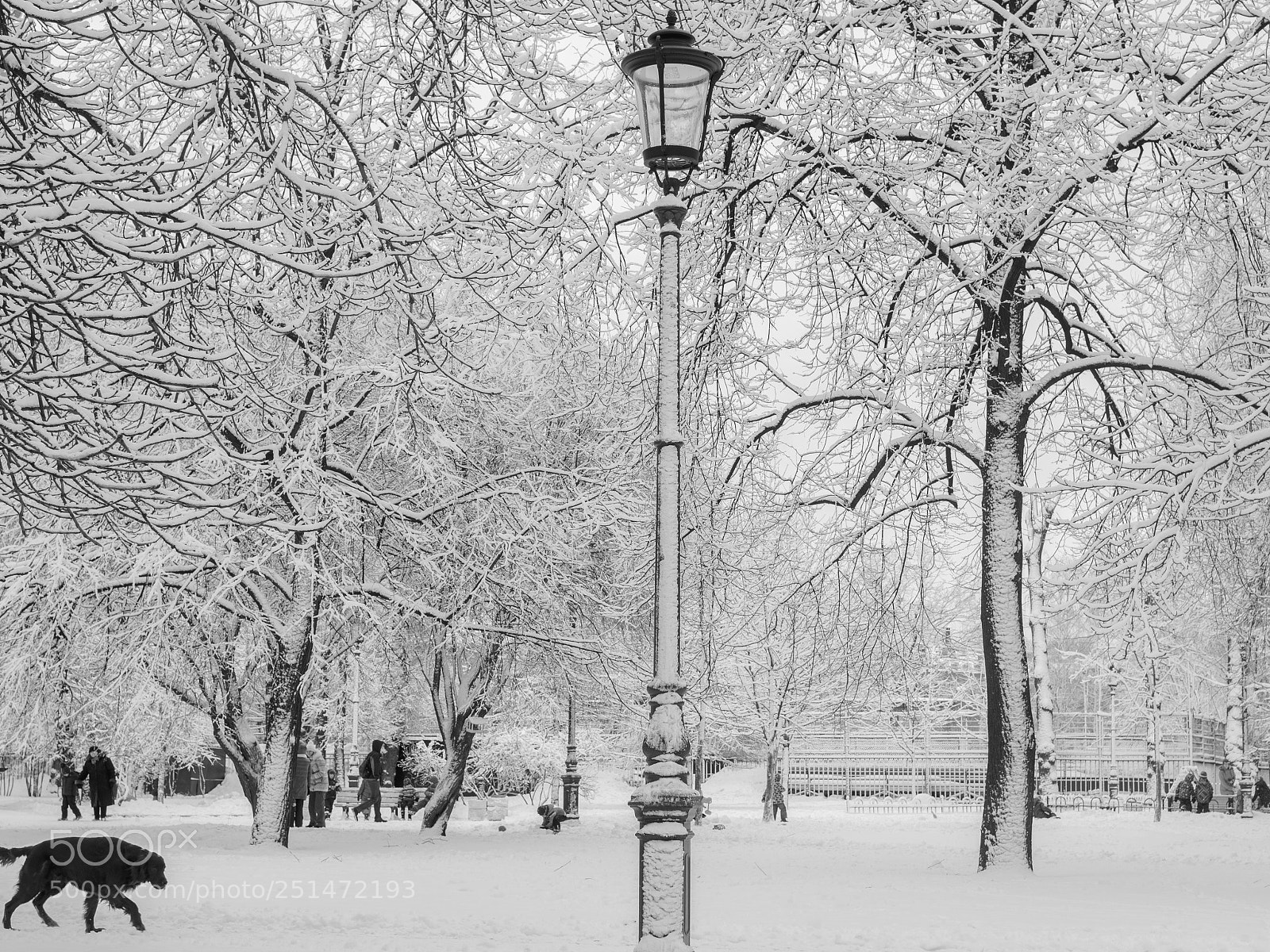 Olympus OM-D E-M1 sample photo. La neige etait trop photography
