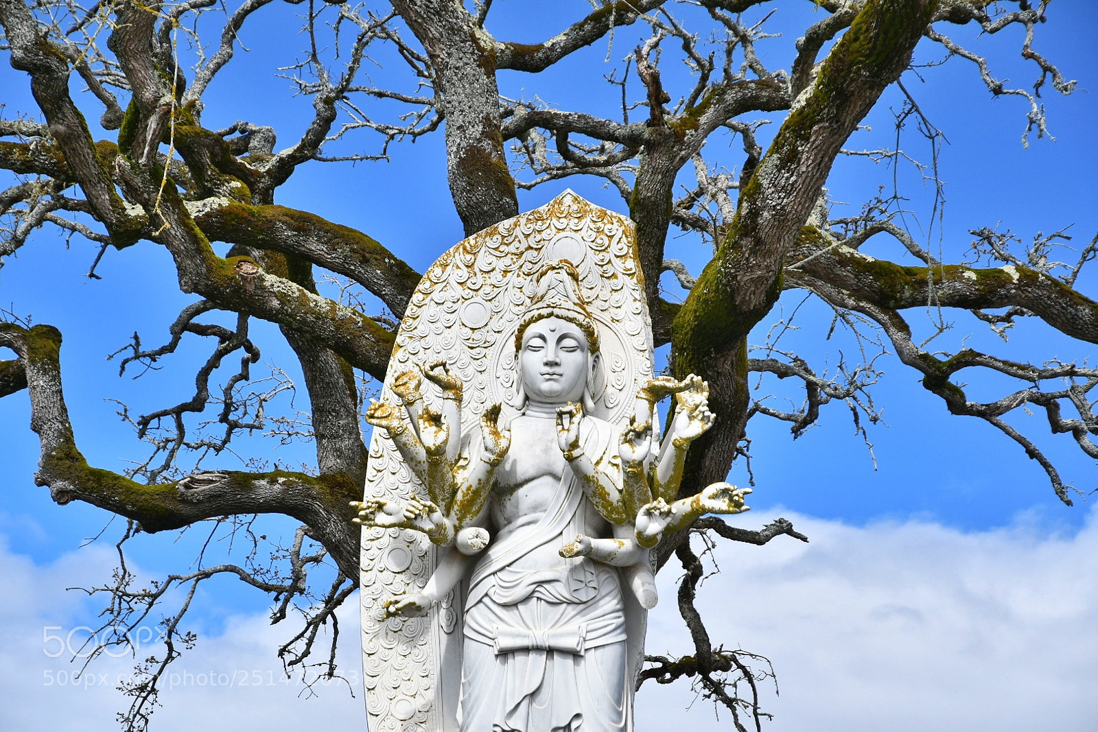 Nikon D7500 sample photo. Budda blue and white photography