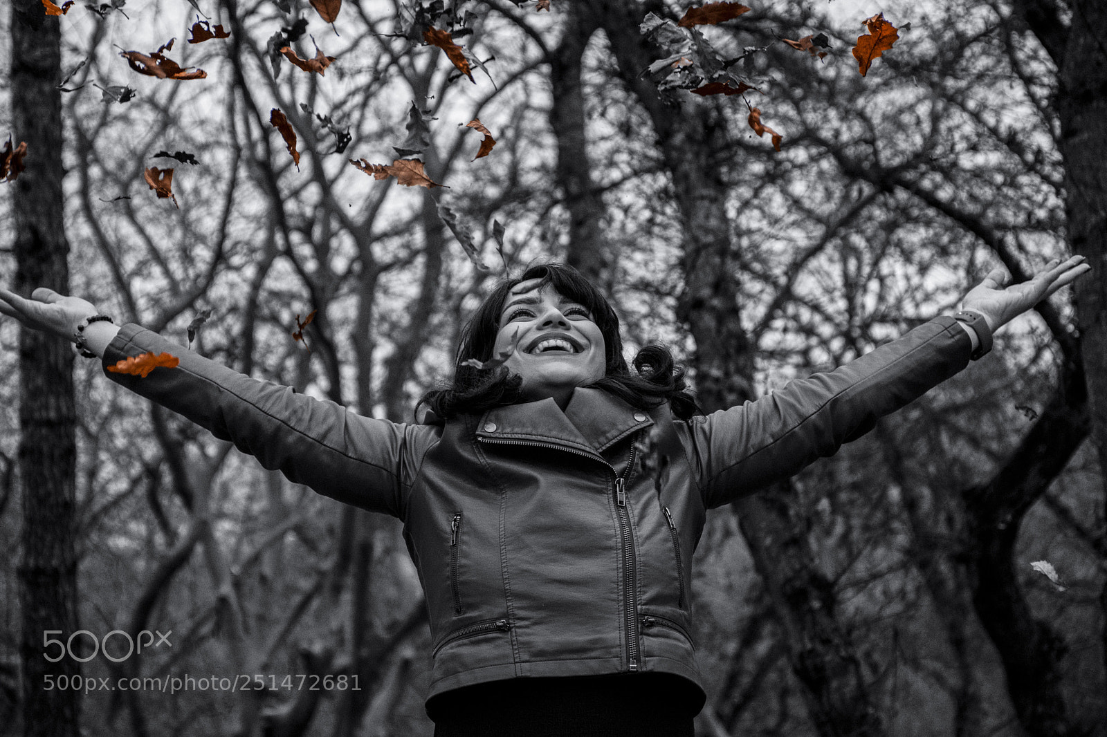 Nikon D7200 sample photo. Black & fall photography