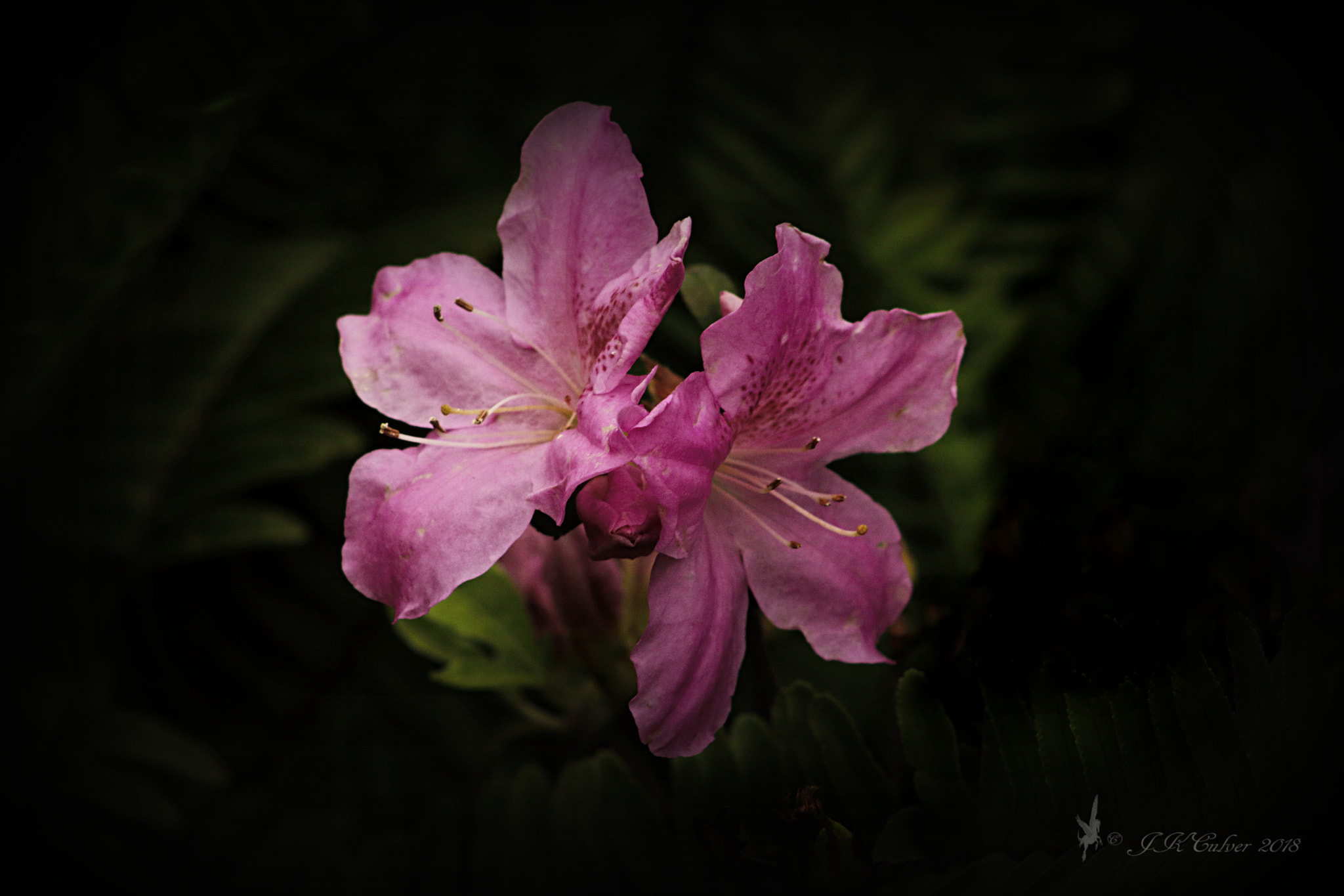 Canon EF 75-300mm f/4-5.6 sample photo. Spring photography