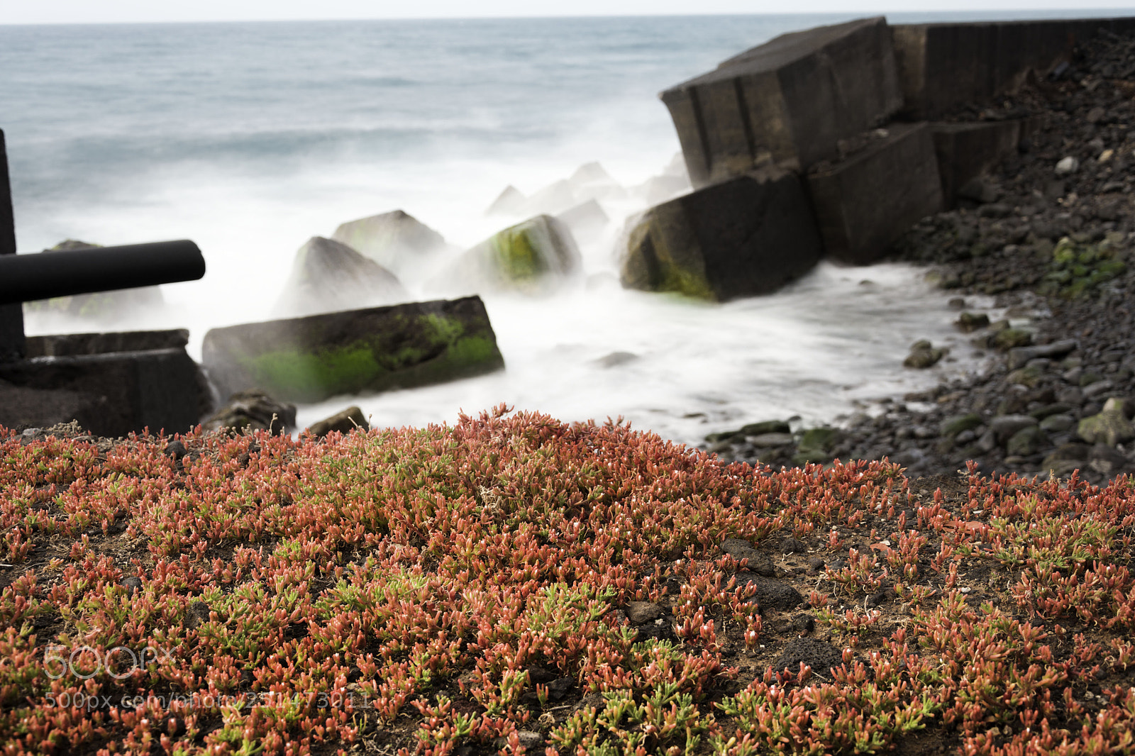Nikon D7200 sample photo. Marina en naranja photography
