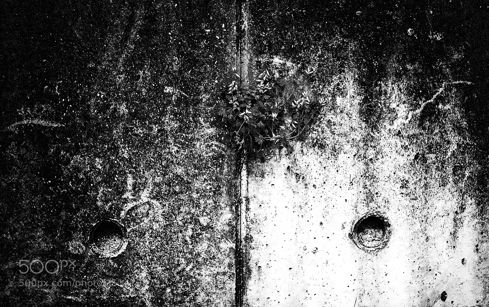 Nikon D3100 sample photo. Minimalism photography