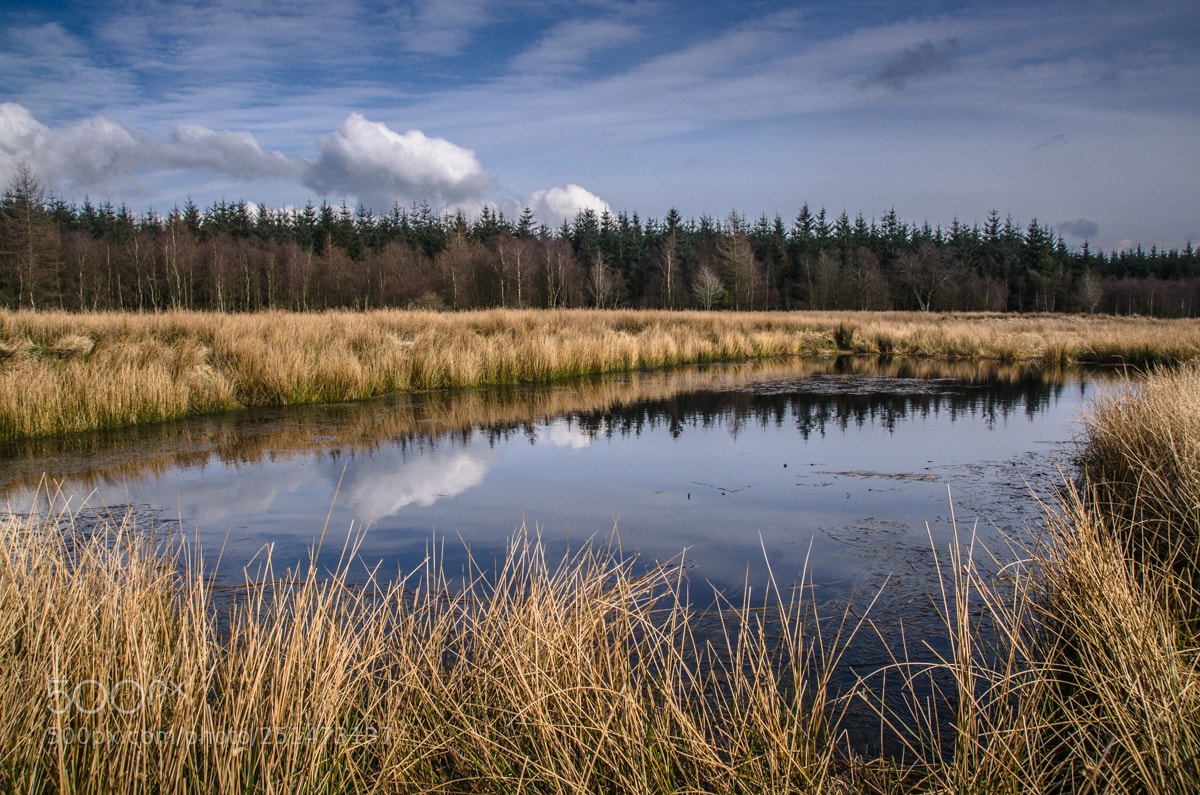 Nikon D7000 sample photo. Forest lake photography