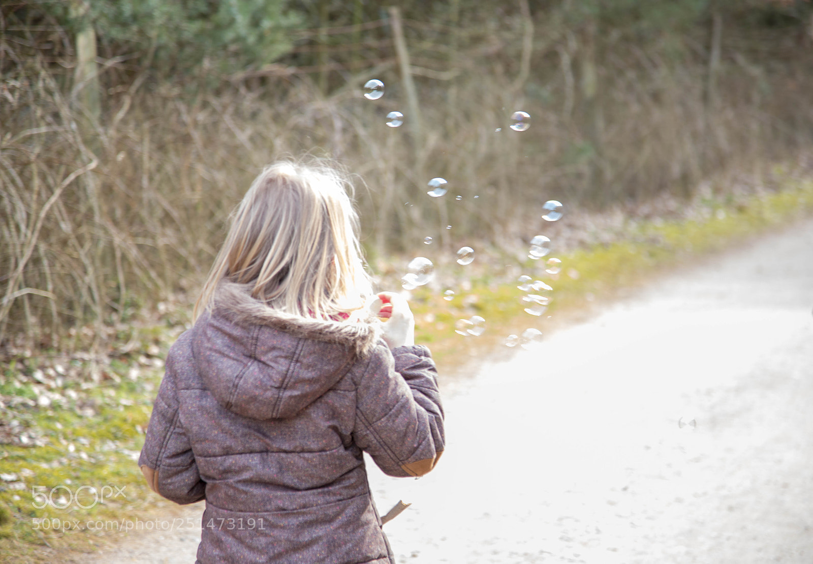 Canon EOS 6D Mark II sample photo. Life photography