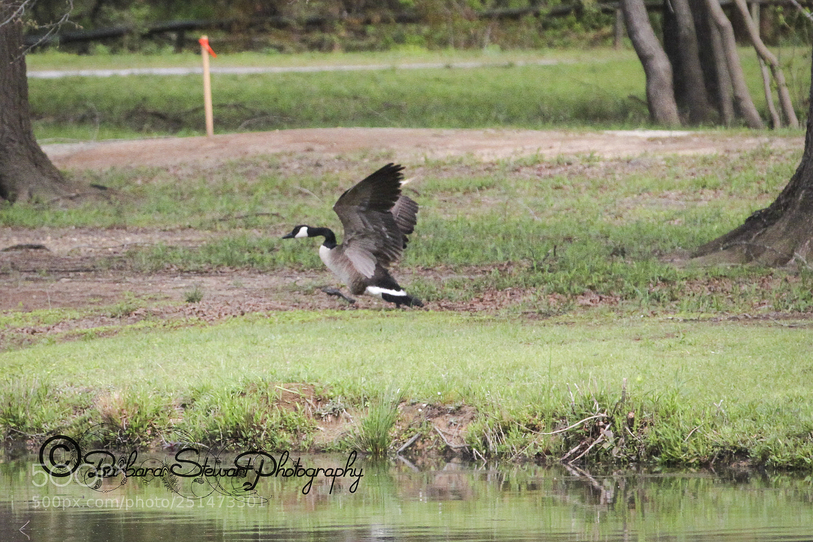 Canon EOS 7D sample photo. Nature in spring photography