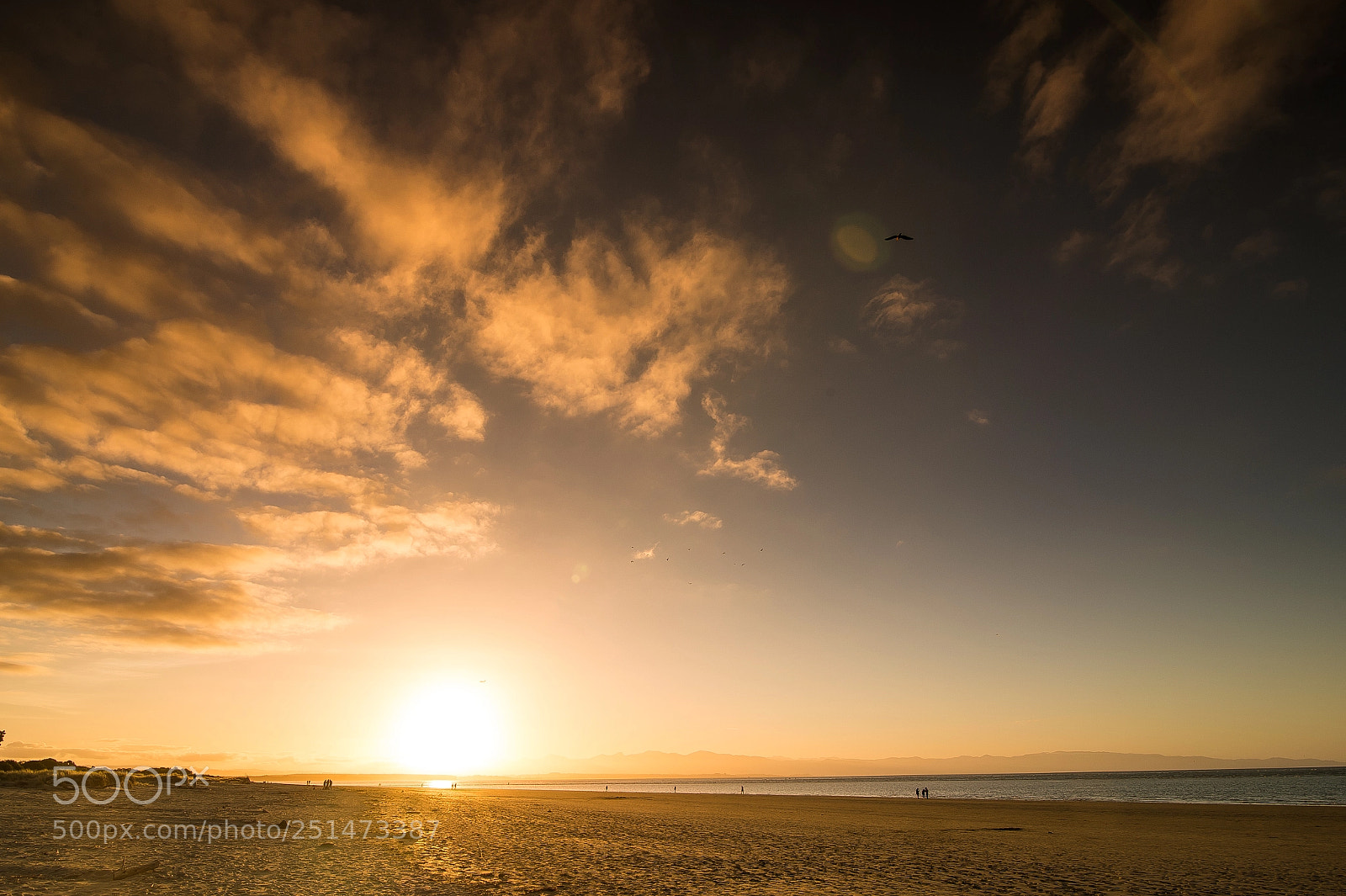 Nikon D4 sample photo. Tahunanui : new zealand photography