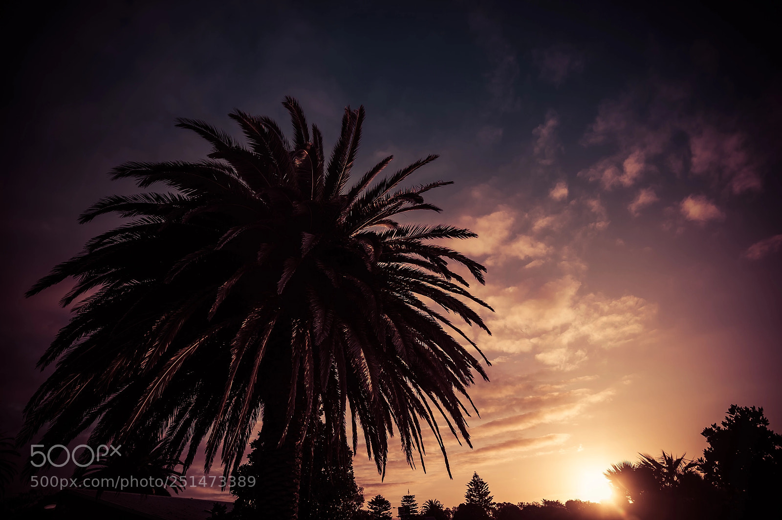 Nikon D4 sample photo. Tahunanui : new zealand photography