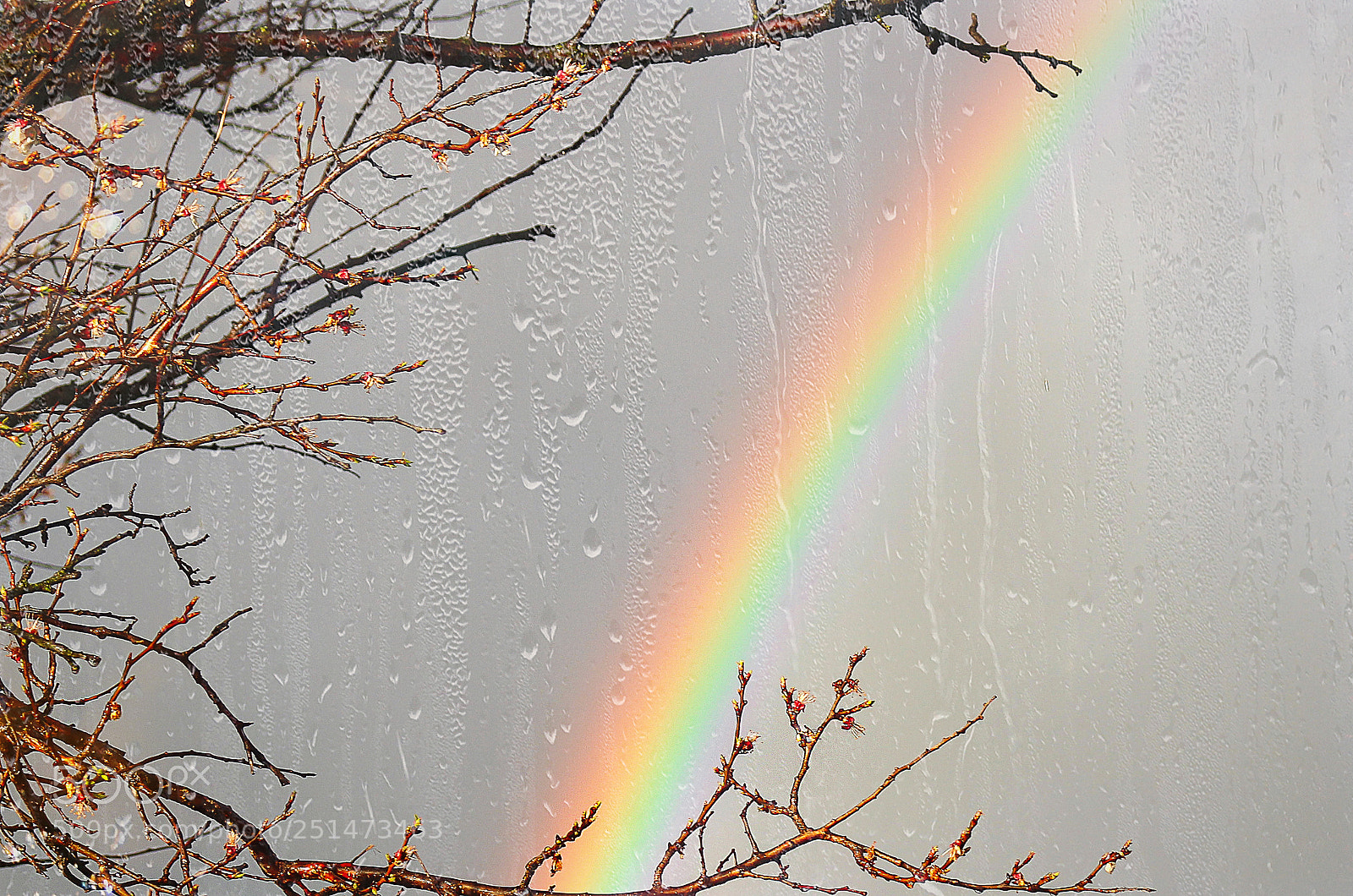 Canon EOS 600D (Rebel EOS T3i / EOS Kiss X5) sample photo. Rainbow and raindrops photography