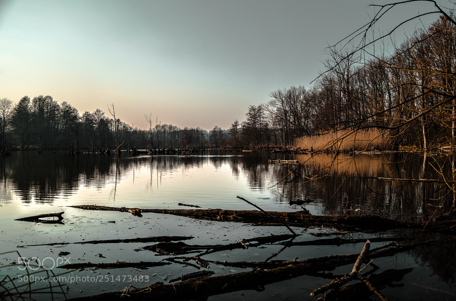Nikon D5100 sample photo. Lake in prague photography