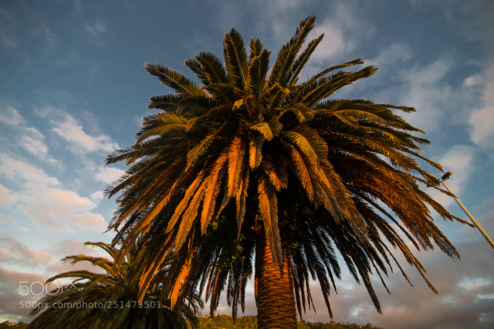 Nikon D4 sample photo. Tahunanui : new zealand photography
