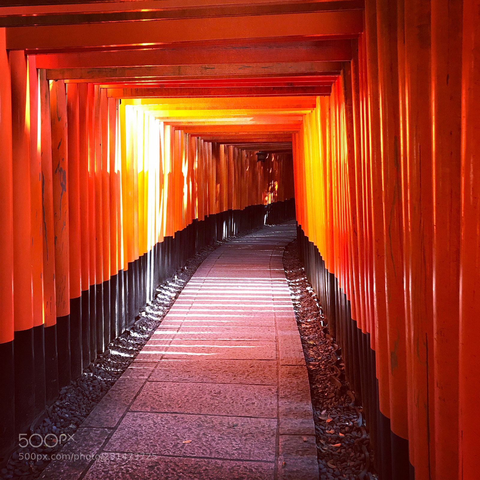 Apple iPhone 7 Plus sample photo. Fushimi inari-taisha shrine photography