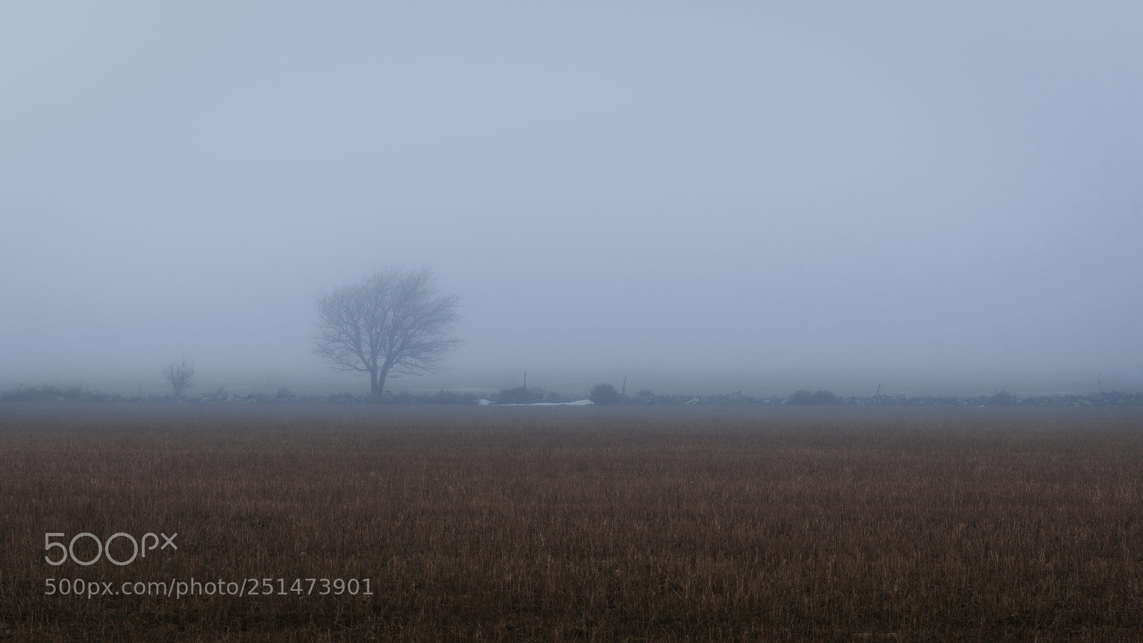 Sony a7R III sample photo. Foggy late winter evening photography