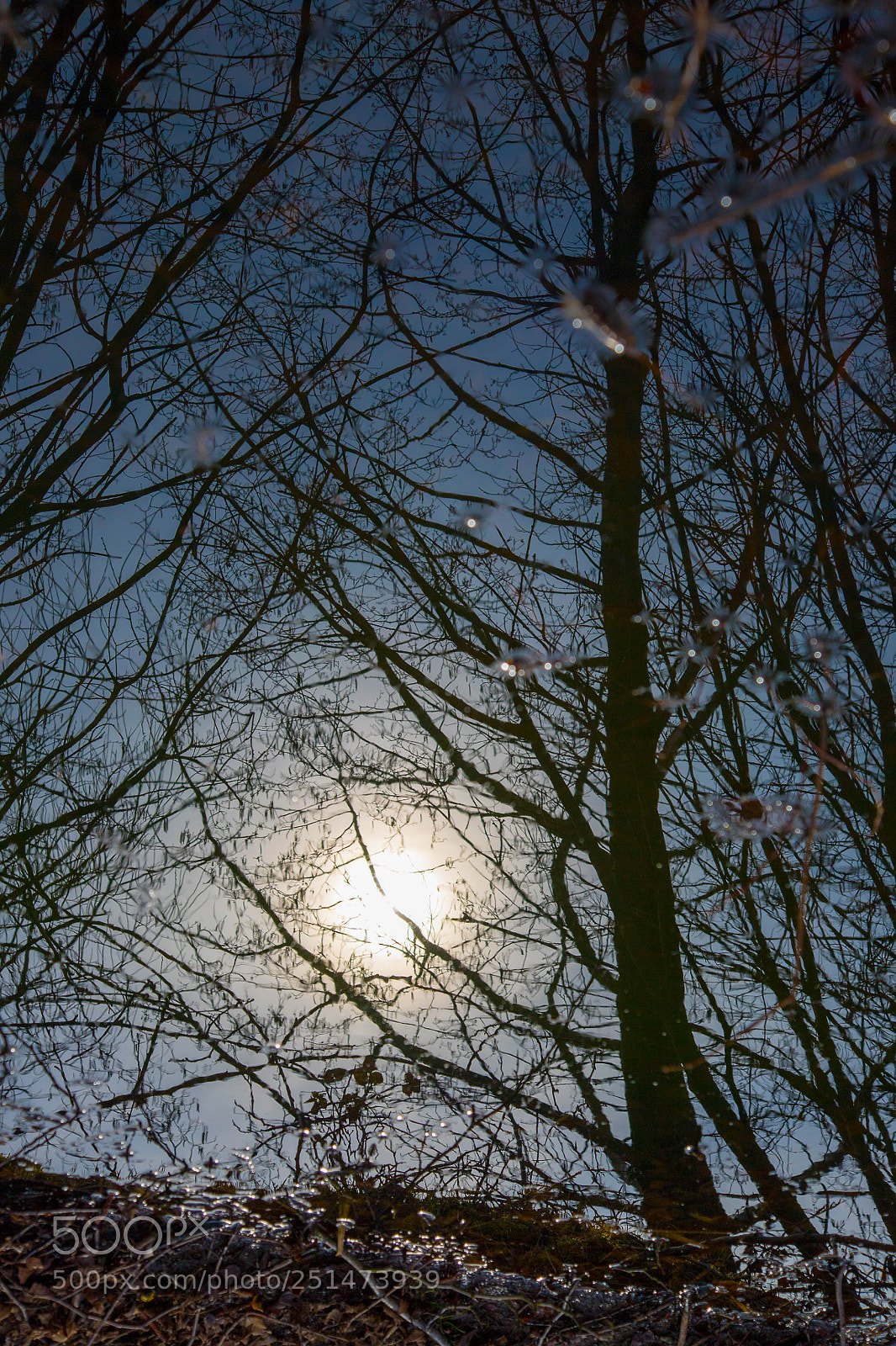 Canon EOS 6D Mark II sample photo. Sun in the mirror photography