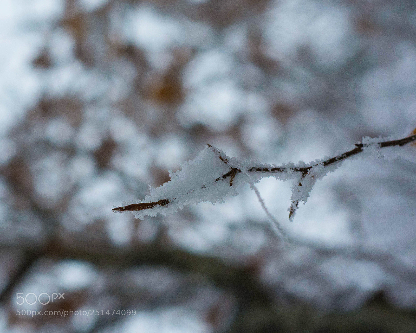 Nikon D7100 sample photo. Snow detail photography