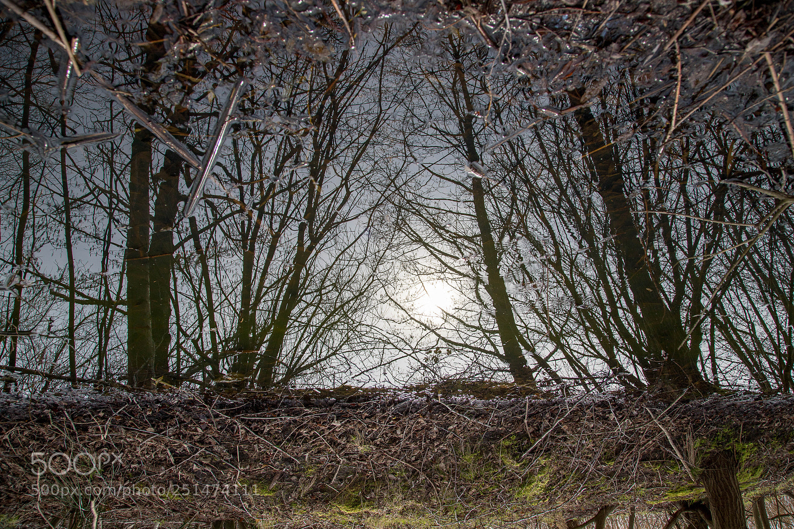 Canon EOS 6D Mark II sample photo. Landscape photography