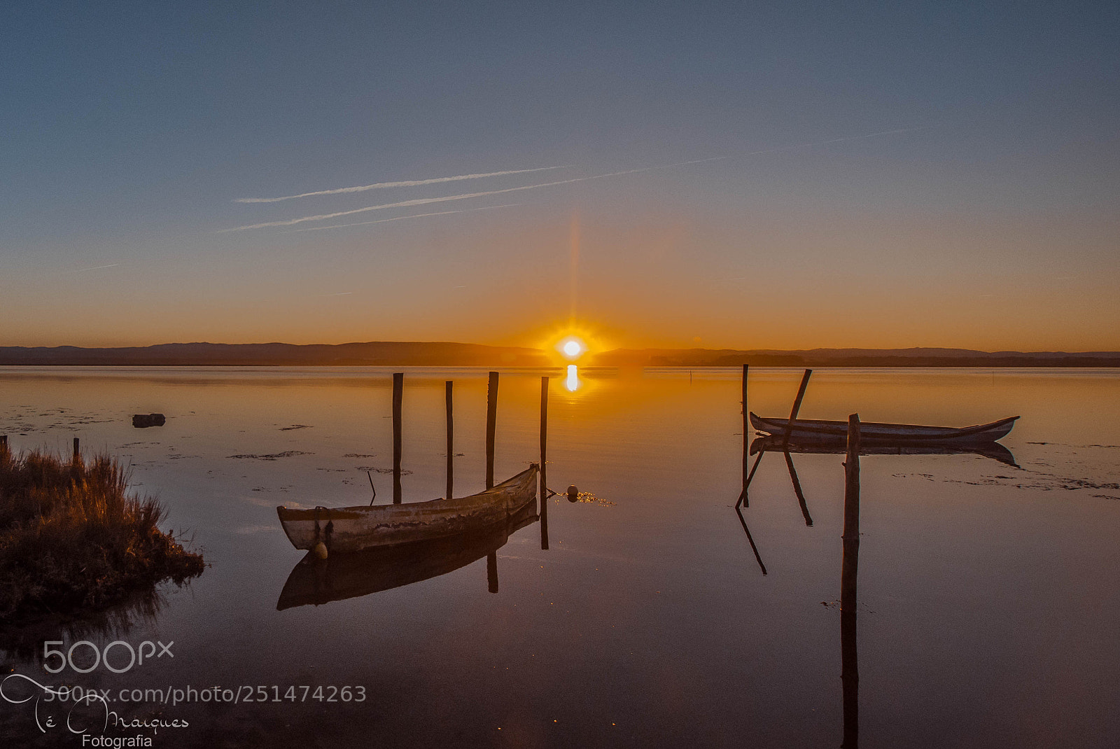 Nikon D7200 sample photo. Together at dawn photography